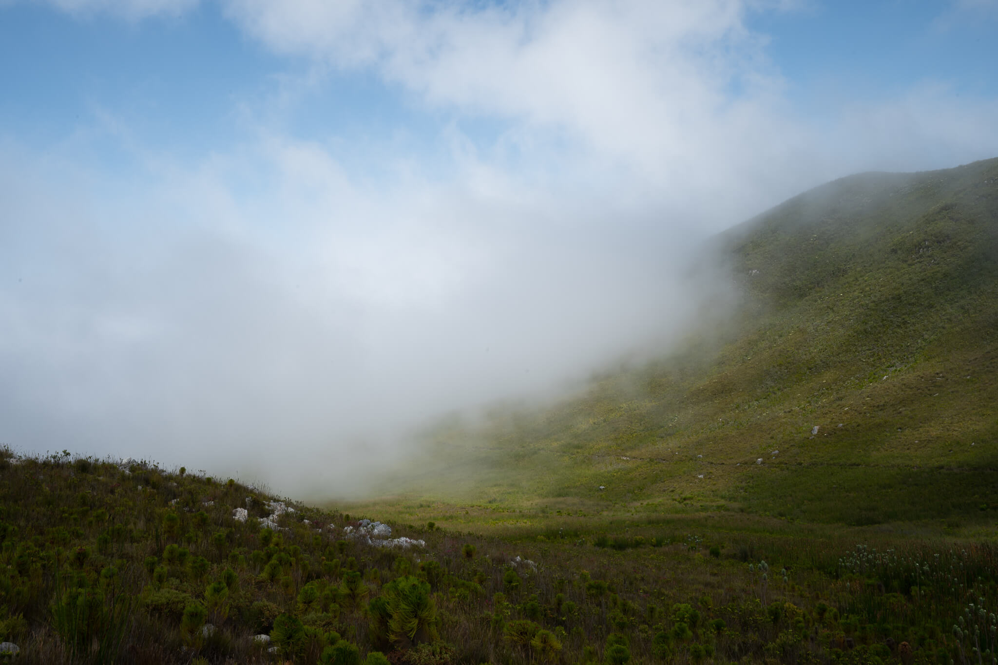 Maanskynkop photograph by Malcolm Bowling