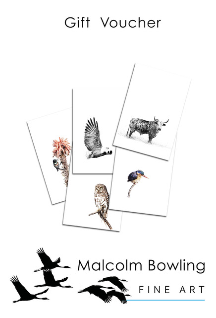 Malcolm Bowling gift voucher