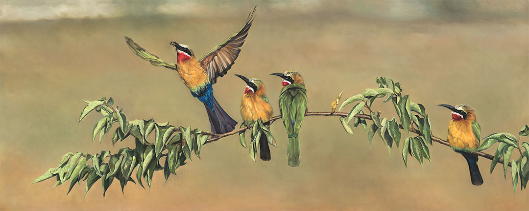 Bee-eater original painting by Malcolm Bowling